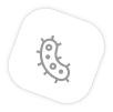 bacteri