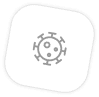 virus